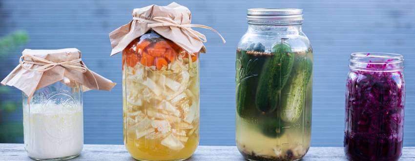 Fermenting and Preserving Course